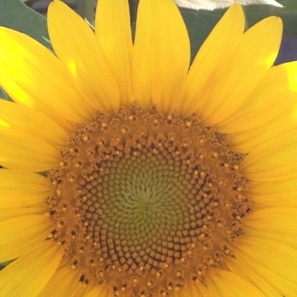 Meet your Posher, Laura - Picture 1 of 2